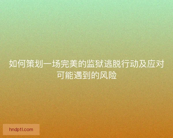 如何策划一场完美的监狱逃脱行动及应对可能遇到的风险