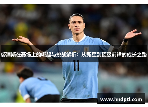 努涅斯在赛场上的崛起与挑战解析：从新星到顶级前锋的成长之路