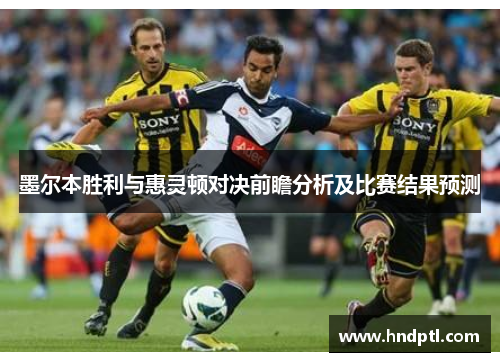 墨尔本胜利与惠灵顿对决前瞻分析及比赛结果预测