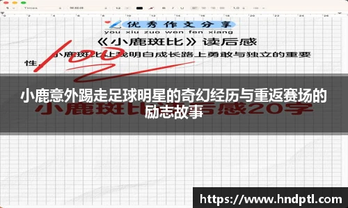 小鹿意外踢走足球明星的奇幻经历与重返赛场的励志故事