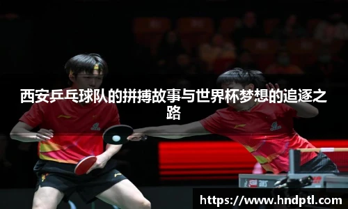 西安乒乓球队的拼搏故事与世界杯梦想的追逐之路